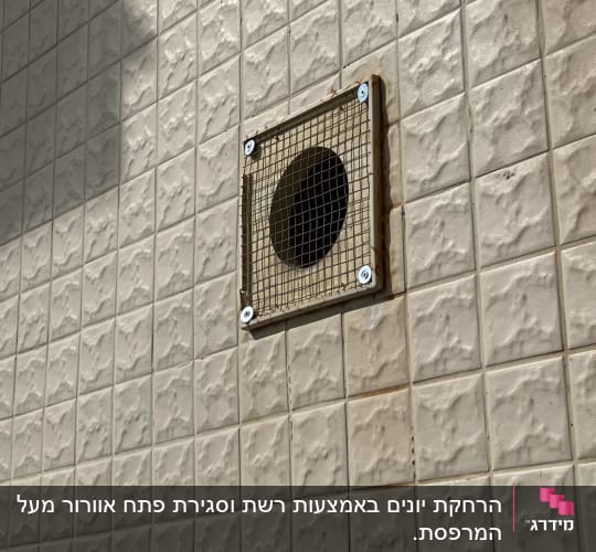 רשת מתכת על פתח בקיר למניעת כניסת יונים